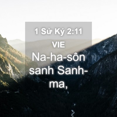 Picture 04 - 1 Sử Ký 2:11 VIE - Na-ha-sôn sanh - Bible Verse Picture