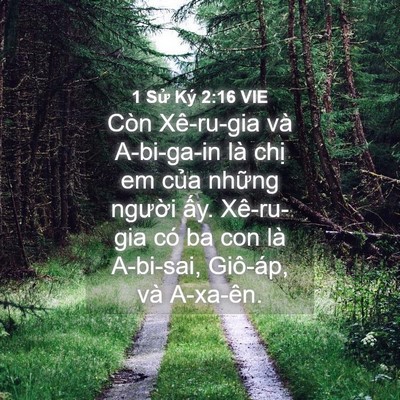 Picture 04 - 1 Sử Ký 2:16 VIE - Còn Xê-ru-gia và A-bi-ga-in là chị em của - Bible Verse Picture