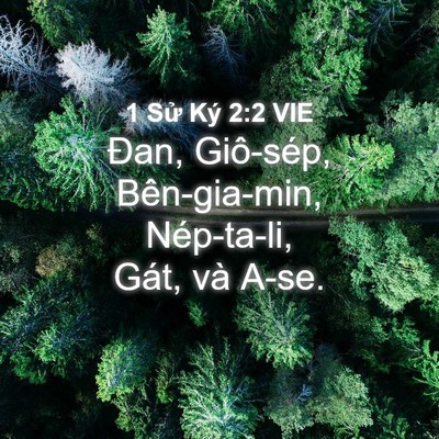 Picture 04 - 1 Sử Ký 2:2 VIE - Đan, Giô-sép, Bên-gia-min, Nép-ta-li, Gát, - Bible Verse Picture