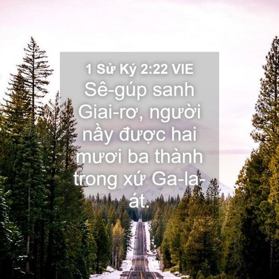 Picture 04 - 1 Sử Ký 2:22 VIE - Sê-gúp sanh Giai-rơ, người nầy được - Bible Verse Picture