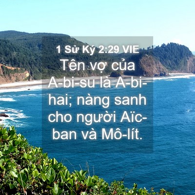 Picture 04 - 1 Sử Ký 2:29 VIE - Tên vợ của A-bi-su là A-bi-hai; nàng sanh - Bible Verse Picture