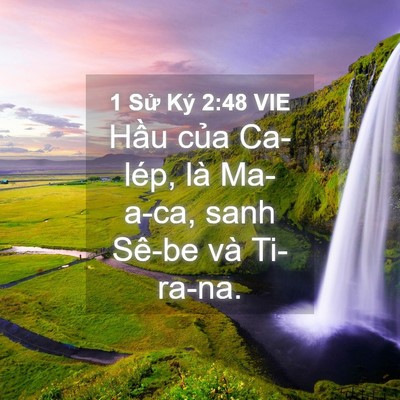 Picture 04 - 1 Sử Ký 2:48 VIE - Hầu của Ca-lép, là Ma-a-ca, sanh Sê-be và - Bible Verse Picture