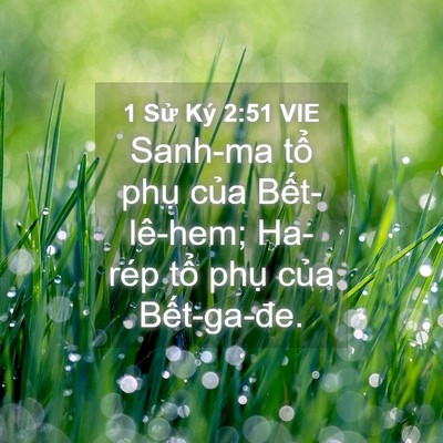 Picture 04 - 1 Sử Ký 2:51 VIE - Sanh-ma tổ phụ của Bết-lê-hem; Ha-rép - Bible Verse Picture