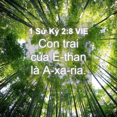 Picture 04 - 1 Sử Ký 2:8 VIE - Con trai của Ê-than là - Bible Verse Picture