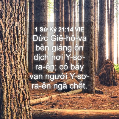 Picture 04 - 1 Sử Ký 21:14 VIE - Đức Giê-hô-va bèn giáng ôn dịch nơi - Bible Verse Picture