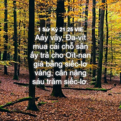 Picture 04 - 1 Sử Ký 21:25 VIE - Aáy vậy, Đa-vít mua cái chỗ sân ấy - Bible Verse Picture