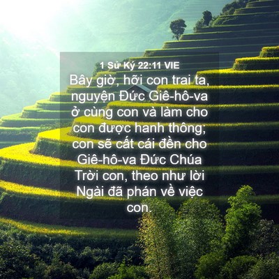 Picture 04 - 1 Sử Ký 22:11 VIE - Bây giờ, hỡi con trai ta, nguyện Đức - Bible Verse Picture