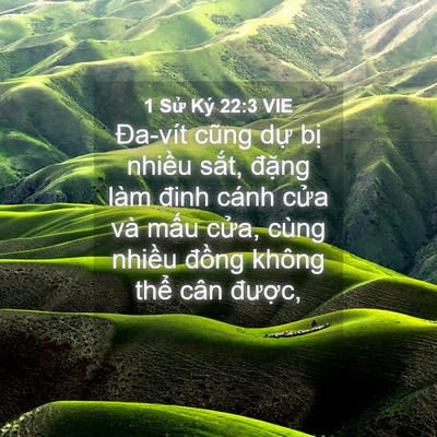 Picture 04 - 1 Sử Ký 22:3 VIE - Đa-vít cũng dự bị nhiều sắt, đặng - Bible Verse Picture