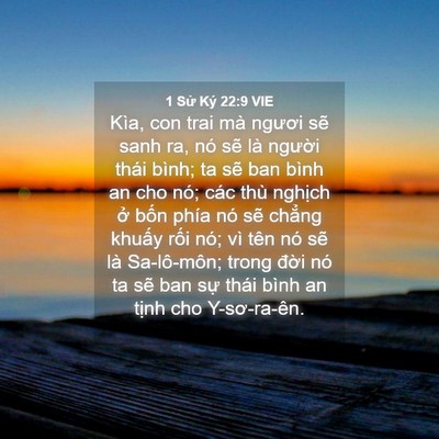Picture 04 - 1 Sử Ký 22:9 VIE - Kìa, con trai mà ngươi sẽ sanh ra, nó sẽ - Bible Verse Picture