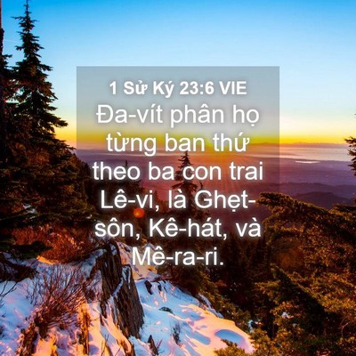 Picture 04 - 1 Sử Ký 23:6 VIE - Đa-vít phân họ từng ban thứ theo ba con - Bible Verse Picture