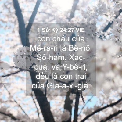 Picture 04 - 1 Sử Ký 24:27 VIE - con cháu của Mê-ra-ri là Bê-nô, Sô-ham, - Bible Verse Picture