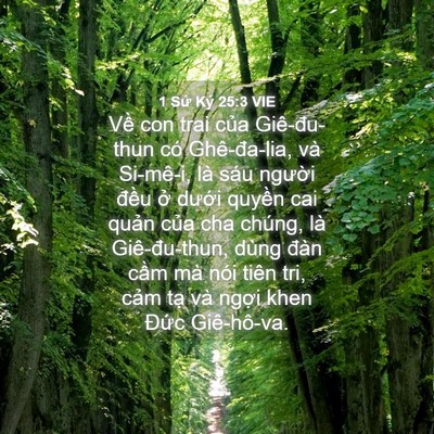 Picture 04 - 1 Sử Ký 25:3 VIE - Về con trai của Giê-đu-thun có - Bible Verse Picture