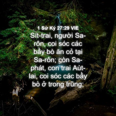 Picture 04 - 1 Sử Ký 27:29 VIE - Sít-trai, người Sa-rôn, coi sóc các bầy - Bible Verse Picture