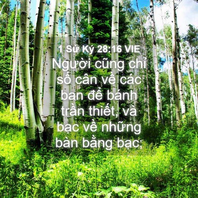 Picture 04 - 1 Sử Ký 28:16 VIE - Người cũng chỉ số cân về các ban - Bible Verse Picture