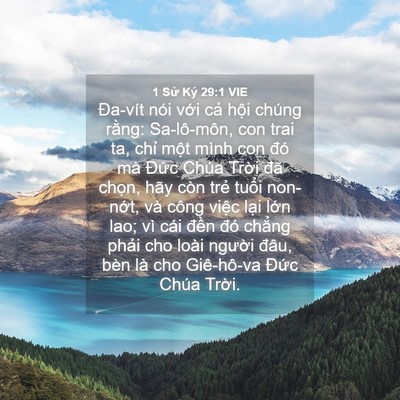 Picture 04 - 1 Sử Ký 29:1 VIE - Đa-vít nói với cả hội chúng rằng: - Bible Verse Picture