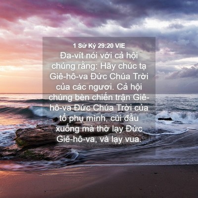 Picture 04 - 1 Sử Ký 29:20 VIE - Đa-vít nói với cả hội chúng rằng: - Bible Verse Picture