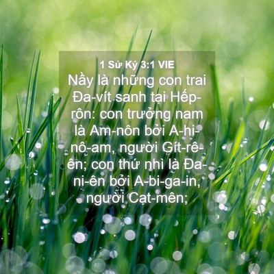 Picture 04 - 1 Sử Ký 3:1 VIE - Nầy là những con trai Đa-vít sanh tại - Bible Verse Picture