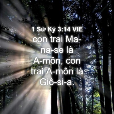 Picture 04 - 1 Sử Ký 3:14 VIE - con trai Ma-na-se là A-môn, con trai A-môn là - Bible Verse Picture