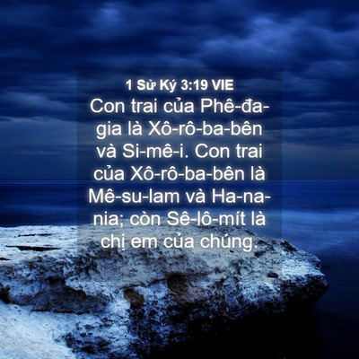 Picture 04 - 1 Sử Ký 3:19 VIE - Con trai của Phê-đa-gia là Xô-rô-ba-bên - Bible Verse Picture