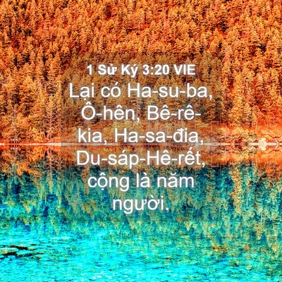 Picture 04 - 1 Sử Ký 3:20 VIE - Lại có Ha-su-ba, Ô-hên, Bê-rê-kia, - Bible Verse Picture