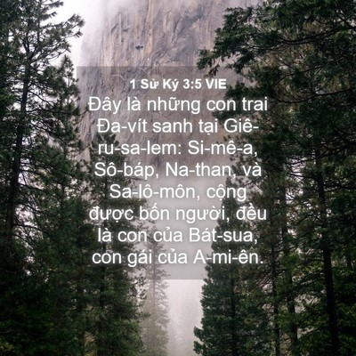 Picture 04 - 1 Sử Ký 3:5 VIE - Đây là những con trai Đa-vít sanh tại - Bible Verse Picture