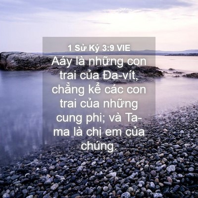 Picture 04 - 1 Sử Ký 3:9 VIE - Aáy là những con trai của Đa-vít, chẳng - Bible Verse Picture