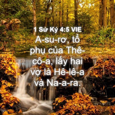 Picture 04 - 1 Sử Ký 4:5 VIE - A-su-rơ, tổ phụ của Thê-cô-a, lấy hai - Bible Verse Picture