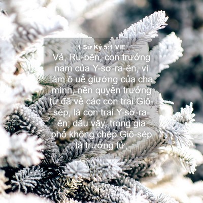 Picture 04 - 1 Sử Ký 5:1 VIE - Vả, Ru-bên, con trưởng nam của - Bible Verse Picture