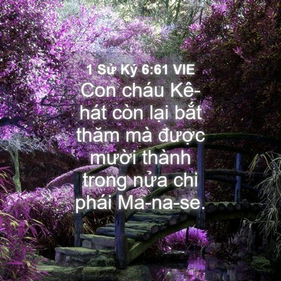 Picture 04 - 1 Sử Ký 6:61 VIE - Con cháu Kê-hát còn lại bắt thăm mà - Bible Verse Picture