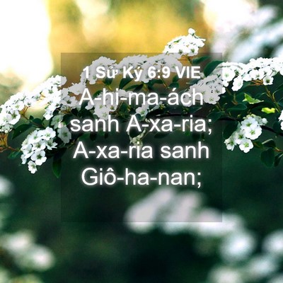 Picture 04 - 1 Sử Ký 6:9 VIE - A-hi-ma-ách sanh A-xa-ria; A-xa-ria sanh - Bible Verse Picture