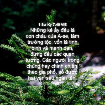 Picture 04 - 1 Sử Ký 7:40 VIE - Những kẻ ấy đều là con cháu của - Bible Verse Picture