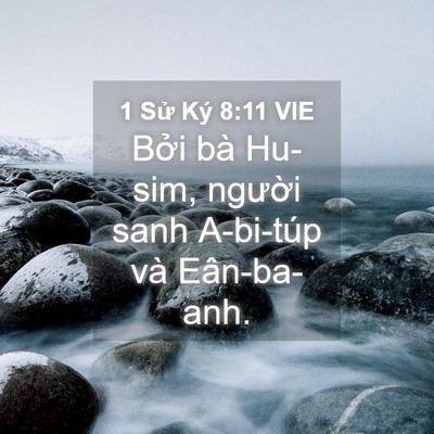 Picture 04 - 1 Sử Ký 8:11 VIE - Bởi bà Hu-sim, người sanh A-bi-túp và - Bible Verse Picture