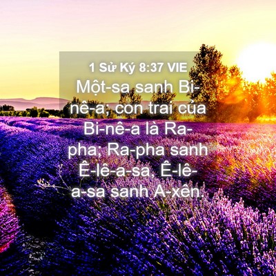 Picture 04 - 1 Sử Ký 8:37 VIE - Một-sa sanh Bi-nê-a; con trai của Bi-nê-a - Bible Verse Picture