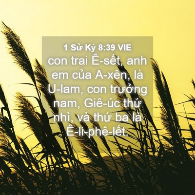 Picture 04 - 1 Sử Ký 8:39 VIE - con trai Ê-sết, anh em của A-xên, là - Bible Verse Picture
