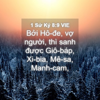 Picture 04 - 1 Sử Ký 8:9 VIE - Bởi Hô-đe, vợ người, thì sanh được - Bible Verse Picture