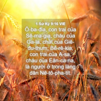 Picture 04 - 1 Sử Ký 9:16 VIE - Ô-ba-đia, con trai của Sê-ma-gia, cháu - Bible Verse Picture