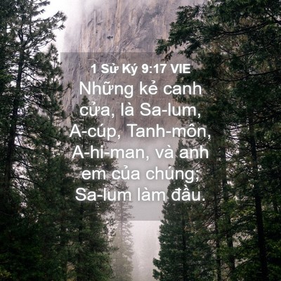 Picture 04 - 1 Sử Ký 9:17 VIE - Những kẻ canh cửa, là Sa-lum, A-cúp, - Bible Verse Picture