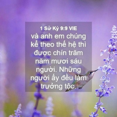 Picture 04 - 1 Sử Ký 9:9 VIE - và anh em chúng kể theo thế hệ thì - Bible Verse Picture