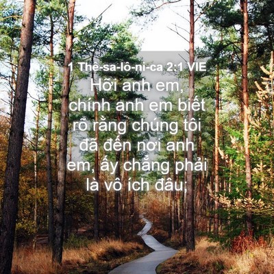 Picture 04 - 1 Thê-sa-lô-ni-ca 2:1 VIE - Hỡi anh em, chính anh em biết rõ rằng - Bible Verse Picture