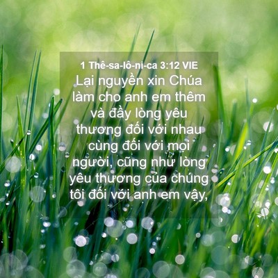 Picture 04 - 1 Thê-sa-lô-ni-ca 3:12 VIE - Lại nguyền xin Chúa làm cho anh em thêm - Bible Verse Picture