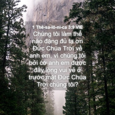 Picture 04 - 1 Thê-sa-lô-ni-ca 3:9 VIE - Chúng tôi làm thể nào đặng đủ tạ - Bible Verse Picture