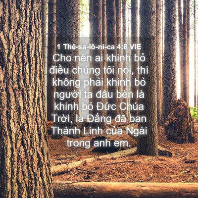 Picture 04 - 1 Thê-sa-lô-ni-ca 4:8 VIE - Cho nên ai khinh bỏ điều chúng tôi nói, - Bible Verse Picture