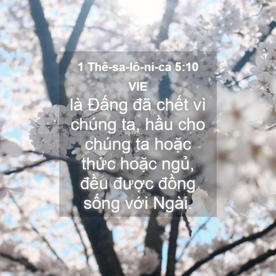 Picture 04 - 1 Thê-sa-lô-ni-ca 5:10 VIE - là Đấng đã chết vì chúng ta, hầu cho - Bible Verse Picture