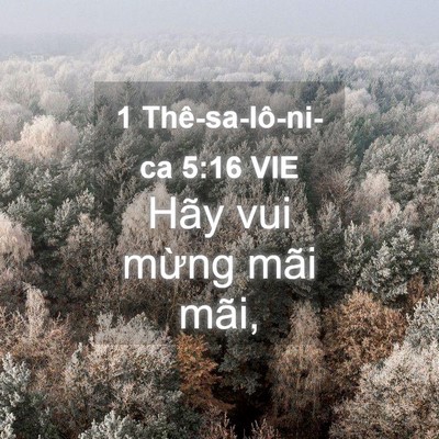 Picture 04 - 1 Thê-sa-lô-ni-ca 5:16 VIE - Hãy vui mừng mãi - Bible Verse Picture
