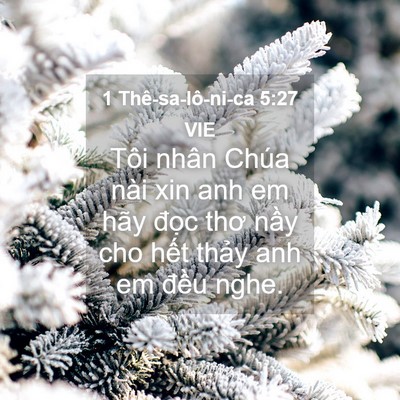 Picture 04 - 1 Thê-sa-lô-ni-ca 5:27 VIE - Tôi nhân Chúa nài xin anh em hãy đọc thơ - Bible Verse Picture