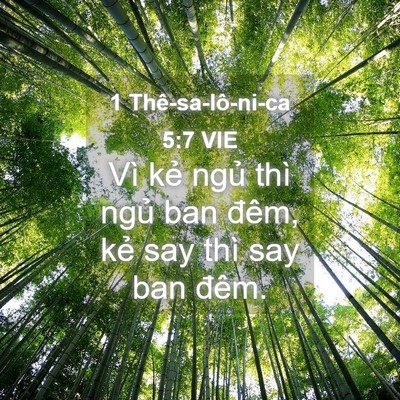 Picture 04 - 1 Thê-sa-lô-ni-ca 5:7 VIE - Vì kẻ ngủ thì ngủ ban đêm, kẻ say - Bible Verse Picture