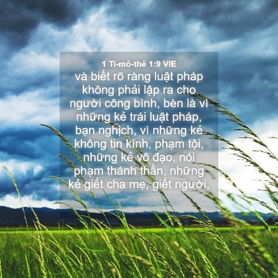 Picture 04 - 1 Ti-mô-thê 1:9 VIE - và biết rõ ràng luật pháp không phải - Bible Verse Picture