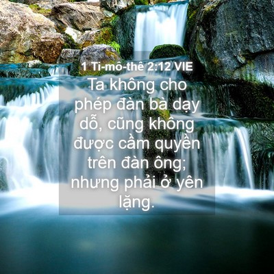 Picture 04 - 1 Ti-mô-thê 2:12 VIE - Ta không cho phép đàn bà dạy dỗ, cũng - Bible Verse Picture