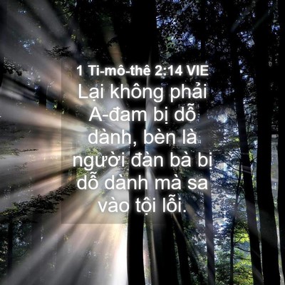 Picture 04 - 1 Ti-mô-thê 2:14 VIE - Lại không phải A-đam bị dỗ dành, bèn - Bible Verse Picture
