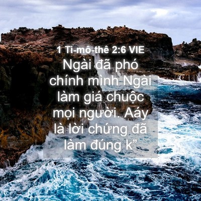 Picture 04 - 1 Ti-mô-thê 2:6 VIE - Ngài đã phó chính mình Ngài làm giá - Bible Verse Picture